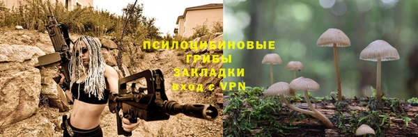 твердый Абаза