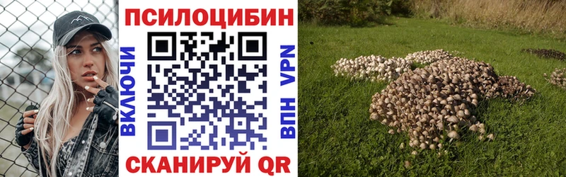 Псилоцибиновые грибы GOLDEN TEACHER  Алапаевск 