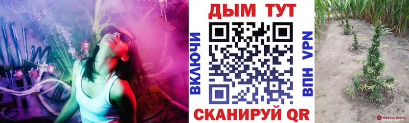 МАРИХУАНА OG Kush  shop Telegram  Алапаевск  где купить наркоту 